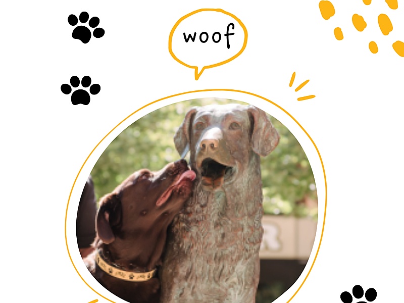 A picture of Chip posing with the True Grit Statue.